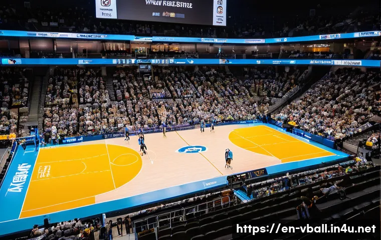 배구 경기 관람 좌석 추천 관련 이미지 1