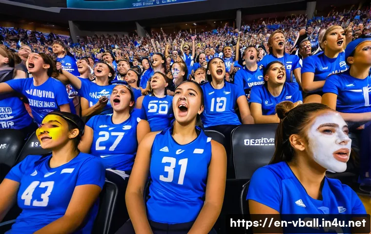 배구 경기 관람 좌석 추천 관련 이미지 2
