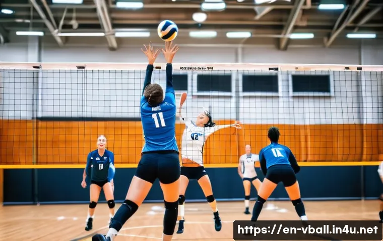 배구 관련 온라인 강의 관련 이미지 2