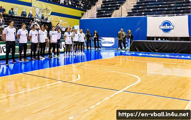 배구 대회 스폰서 모집 관련 이미지 2