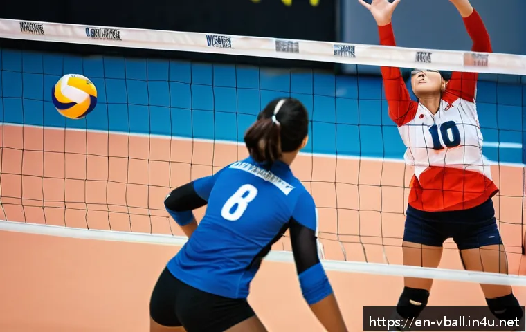 배구 관련 퀴즈 관련 이미지 1