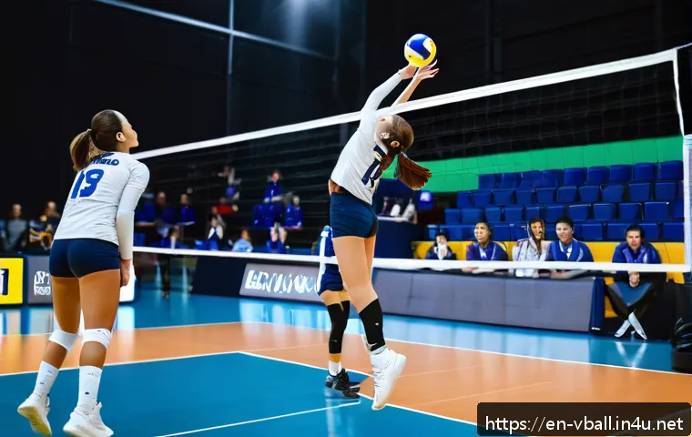 배구 게임 룰 북 관련 이미지 2